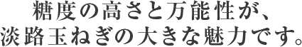 糖度の高さと万能性が、淡路玉ねぎの大きな魅力です。