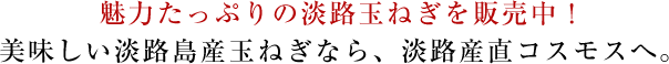 魅力たっぷりの淡路玉ねぎを販売中！美味しい淡路島産玉ねぎなら、淡路産直コスモスへ。