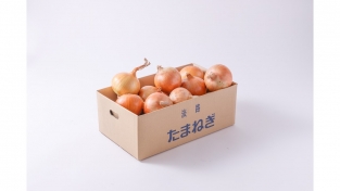 【完売】淡路島の中成晩生玉ねぎ　５ｋｇ（送料無料）