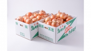 【完売】淡路島の中晩生玉ねぎ　１０ｋｇ×２ケースセット（送料無料）