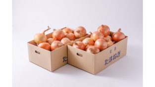 【完売】淡路島の中晩生玉ねぎ５ｋｇ×２セット（送料無料）