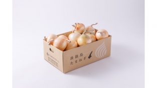 【今期終了】熟成サラダ玉ねぎ「熟れっ玉」５ｋｇ（送料無料）