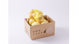 【完売しました】特選　熟成サラダ玉ねぎ「熟れっ玉」2ｋｇ（送料無料）