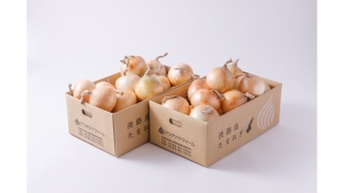 【完売しました】特選　熟成サラダ玉ねぎ「熟れっ玉」５ｋｇ×２　計１０ｋｇセット（送料無料）