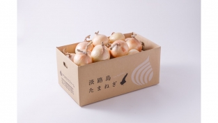 【完売しました】特選　熟成サラダ玉ねぎ「熟れっ玉」１０ｋｇ（送料無料）