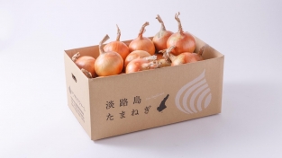 【完売】特選　完熟とろ甘玉ねぎ「熟れっ玉」１０ｋｇ（送料無料）