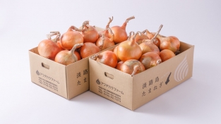 【完売】特選　完熟とろ甘玉ねぎ「熟れっ玉」５ｋｇ×２ケース　計１０ｋｇセット（送料無料）