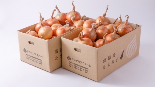 【完売しました】完熟とろ甘玉ねぎ「熟れっ玉」１０ｋｇ×２ケース　計２０ｋｇセット（送料無料）