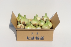 【予約注文】淡路島春の新玉ねぎ　５kg（送料無料）