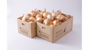 【今期終了】熟成サラダ玉ねぎ「熟れっ玉」１０ｋｇ×２セット　計２０ｋｇセット（送料無料）