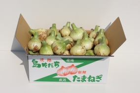 淡路島の早生玉ねぎ　10kg（送料無料）