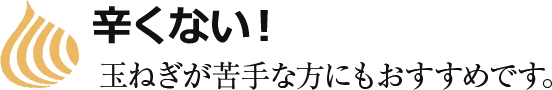 辛くない！玉ねぎが苦手な方にもおすすめです。