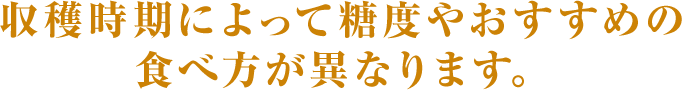 収穫時期によって糖度やおすすめの食べ方が異なります。