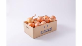 【完売】淡路島の中成晩生玉ねぎ　５ｋｇ（送料無料）