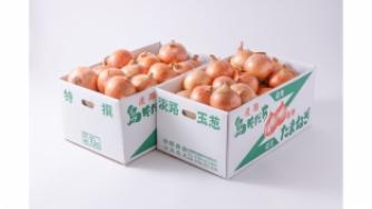【完売】淡路島の中晩生玉ねぎ　１０ｋｇ×２ケースセット（送料無料）