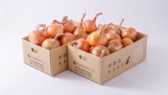 【完売】特選　完熟とろ甘玉ねぎ「熟れっ玉」５ｋｇ×２ケース　計１０ｋｇセット（送料無料）