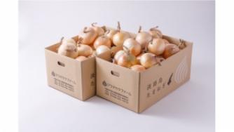 【特選】　熟成サラダ玉ねぎ「熟れっ玉」１０ｋｇ×２セット　計２０ｋｇセット（送料無料）